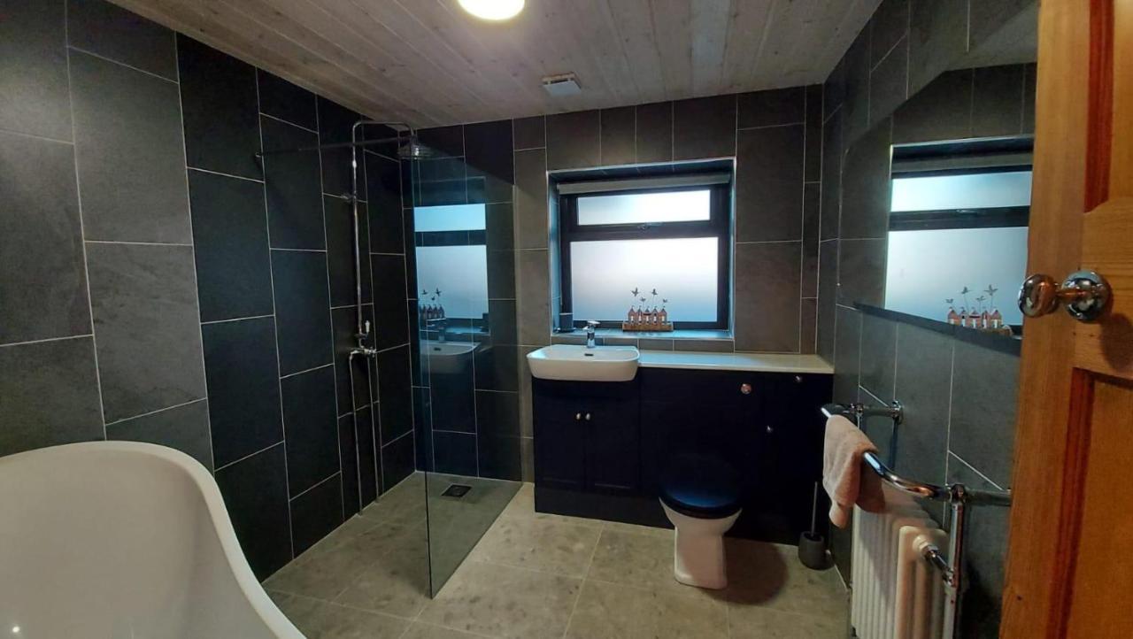 No 1 Dolheulog Aberaeron Sa46 0Ep Villa Ngoại thất bức ảnh
